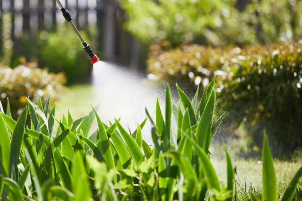 24/7 Emergency Wasp Removal experts in Killen, AL
