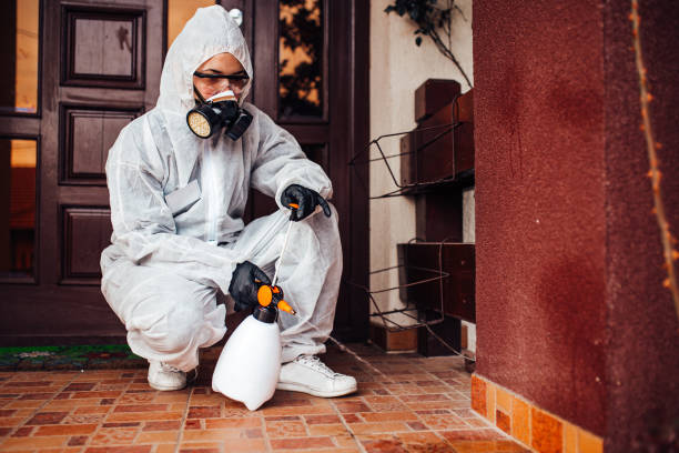 Reliable Wasp Removal contractor in Killen, AL by Show Me Pest Control