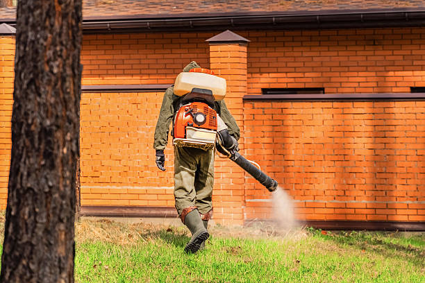 Top rated local Wasp Removal specialists in Killen, AL